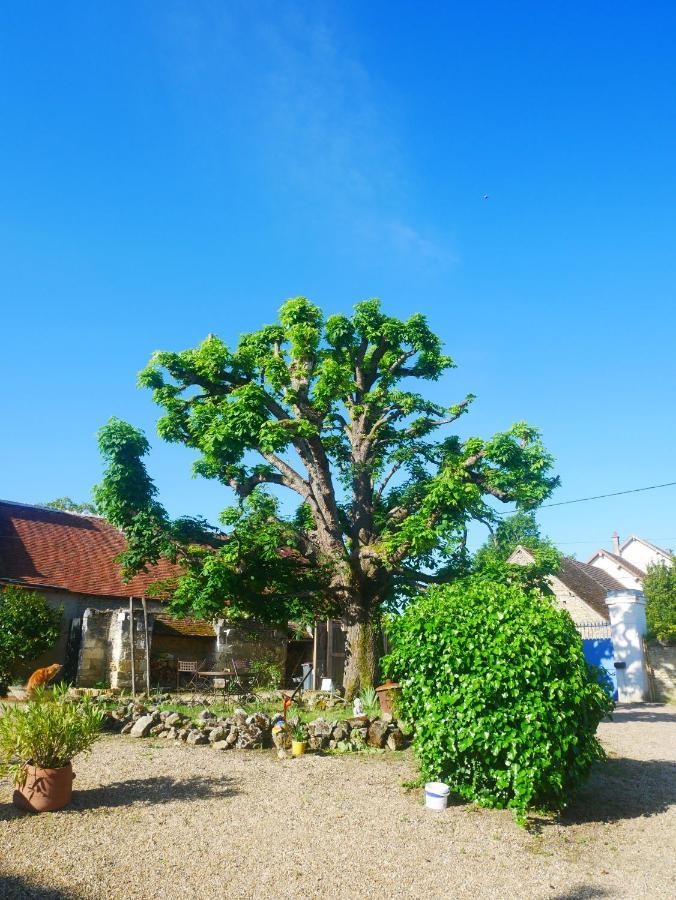 Au Coeur De La Cour Saint-Georges-sur-Cher Exterior foto